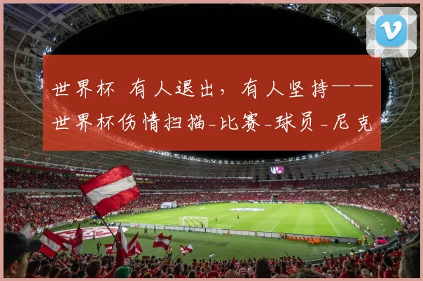世界杯 有人退出，有人坚持——世界杯伤情扫描_比赛_球员_尼克·帕斯