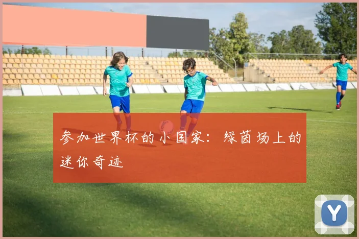 参加世界杯的小国家：绿茵场上的迷你奇迹