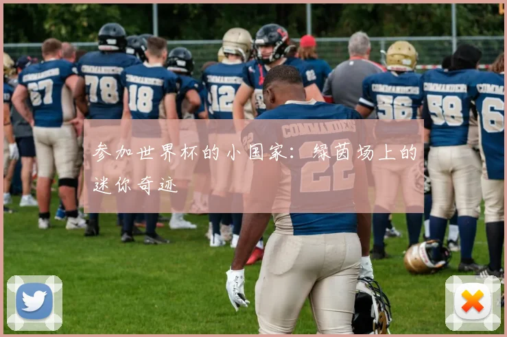 参加世界杯的小国家：绿茵场上的迷你奇迹
