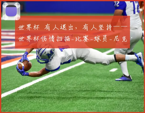 世界杯 有人退出，有人坚持——世界杯伤情扫描_比赛_球员_尼克·帕斯