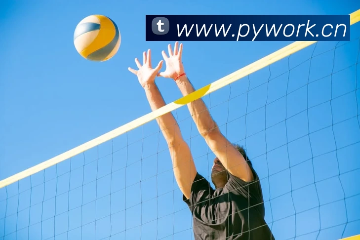 hth华体官方下载 - 下载最新版APP 封面图